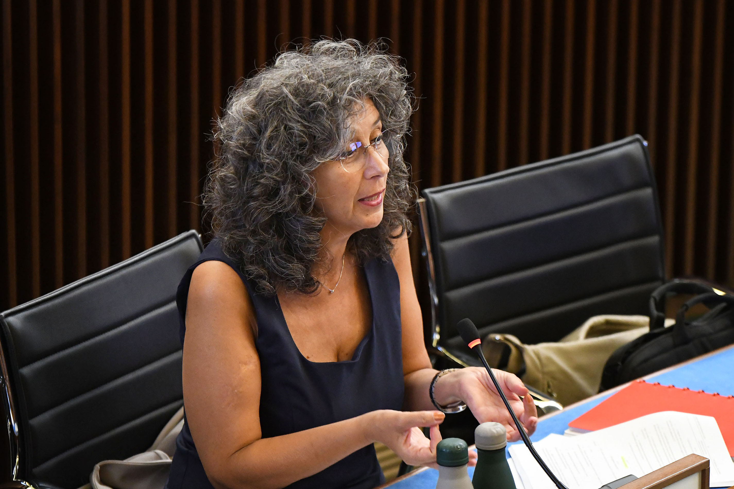 RIFORMA TERRITORIO. PELLEGRINO (AVS)-PUTTO (PAT-CIV): DDL STRATEGICO